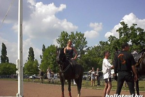 taxisnap_2006 065.JPG
